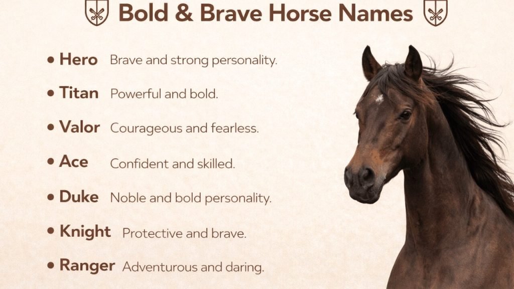 Home 9 Bold & Brave horse Names